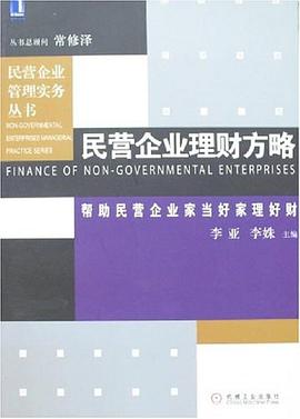 民营企业理财方略 pdf epub mobi 电子书 下载