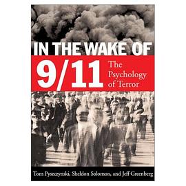 In the Wake of 9/11 pdf epub mobi 电子书 下载