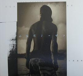 小笠原ターザン―六渡達郎写真集 (大型本) pdf epub mobi 电子书 下载