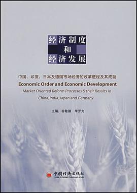 经济制度和经济发展 pdf epub mobi 电子书 下载