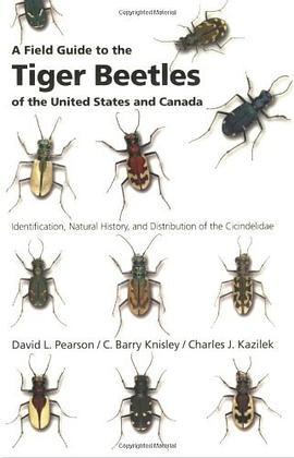 A Field Guide to the Tiger Beetles of the United States and Canada pdf epub mobi 电子书 下载