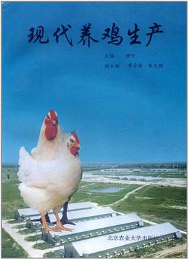 现代养鸡生产