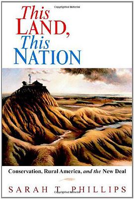 This Land, This Nation pdf epub mobi 电子书 下载