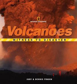 Witness To Disaster pdf epub mobi 电子书 下载