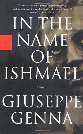 In the Name of Ishmael pdf epub mobi 电子书 下载