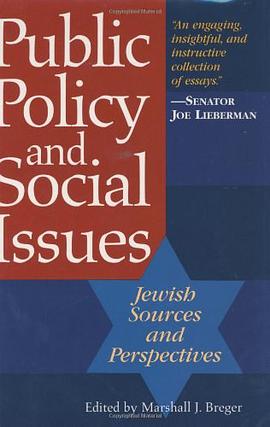 Public Policy and Social Issues pdf epub mobi 电子书 下载