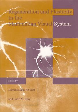 Regeneration and Plasticity in the Mammalian Visual System pdf epub mobi 电子书 下载