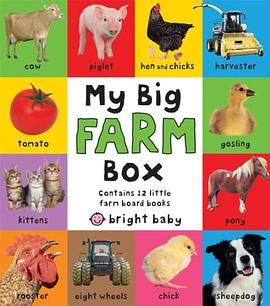 My Big Farm Box pdf epub mobi 下载