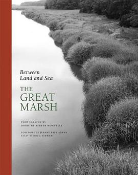 Between Land and Sea pdf epub mobi 电子书 下载