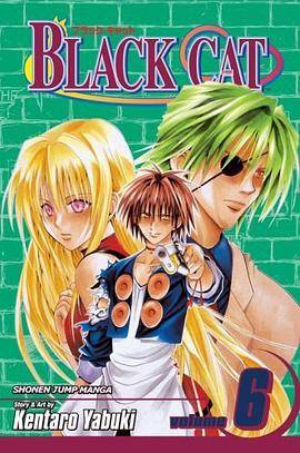 Black Cat, Volume 6 (Black Cat (Graphic Novels)) pdf epub mobi 电子书 下载