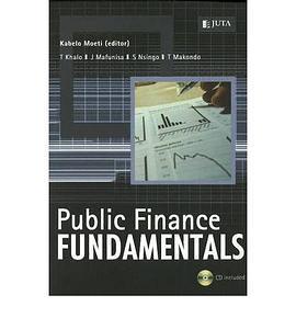 Public Finance Fundamentals pdf epub mobi 電子書 下載