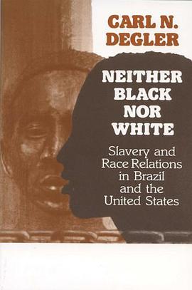 Neither Black Nor White pdf epub mobi 电子书 下载
