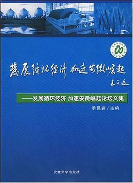 发展循环经济 加速安徽崛起 pdf epub mobi 电子书 下载