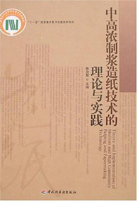 中高濃製漿造紙技術的理論與實踐