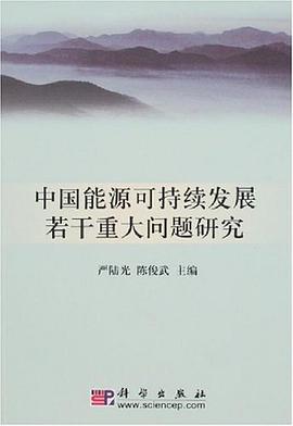 中国能源可持续发展若干重大问题研究 pdf epub mobi 电子书 下载