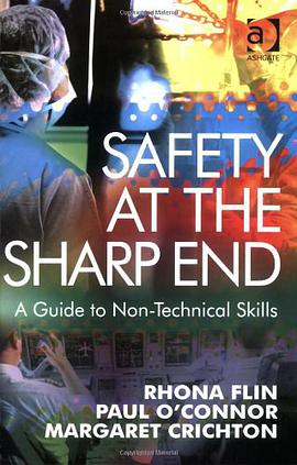 Safety at the Sharp End pdf epub mobi 电子书 下载