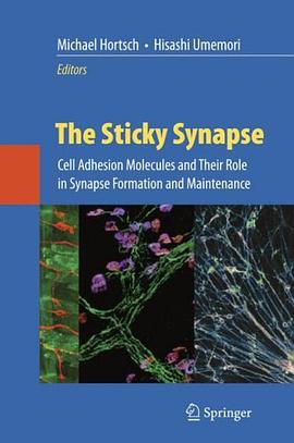 The Sticky Synapse pdf epub mobi 电子书 下载
