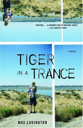 Tiger In A Trance pdf epub mobi 电子书 下载