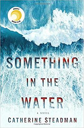 Something In the Water pdf epub mobi 电子书 下载