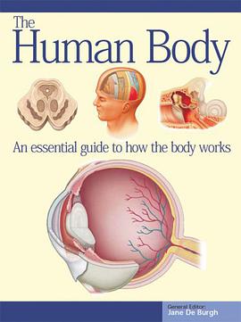 The Human Body pdf epub mobi 电子书 下载