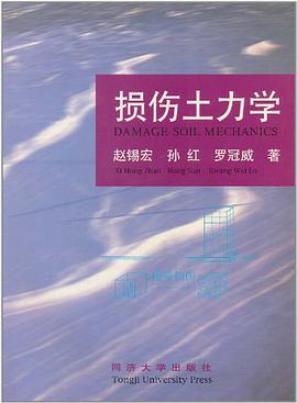 损伤土力学 pdf epub mobi 电子书 下载
