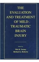 The Evaluation and Treatment of Mild Traumatic Brain Injury pdf epub mobi 电子书 下载