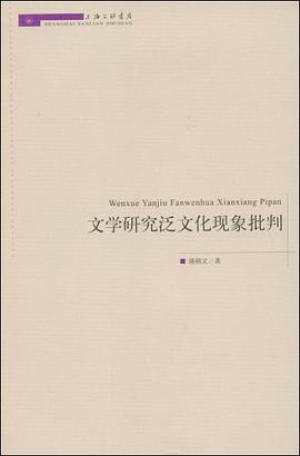 文学研究泛文化现象批判 pdf epub mobi 电子书 下载