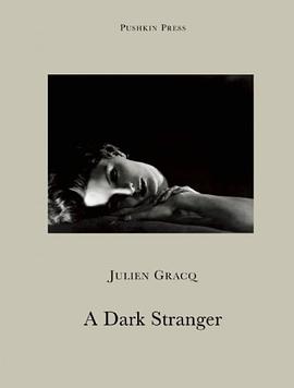 A Dark Stranger pdf epub mobi 電子書 下載