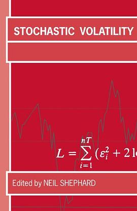 Stochastic Volatility pdf epub mobi 电子书 下载