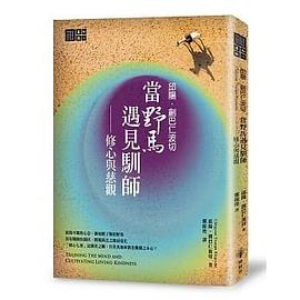 邱陽創巴仁波切 當野馬遇見馴師：修心與慈觀 pdf epub mobi 电子书 下载