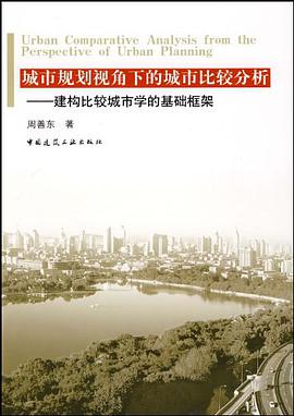 城市规划视角下的城市比较分析 pdf epub mobi 电子书 下载