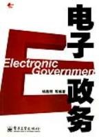 电子政务 pdf epub mobi 电子书 下载