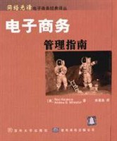 电子商务——管理指南 pdf epub mobi 电子书 下载
