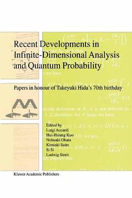 Recent Developments in Infinite-Dimensional Analysis and Q Probability pdf epub mobi 电子书 下载