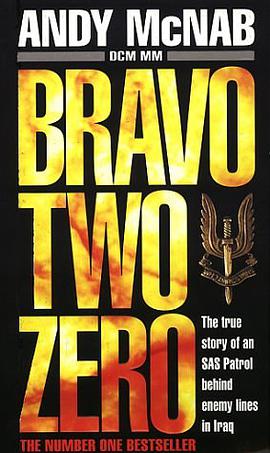 Bravo Two Zero pdf epub mobi 电子书 下载