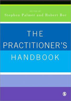 The Practitioner's Handbook pdf epub mobi 電子書 下載