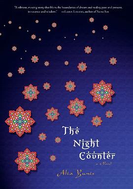 The Night Counter pdf epub mobi 电子书 下载