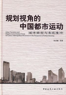 规划视角的中国都市运动 pdf epub mobi 电子书 下载