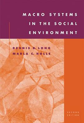 Macro Systems in the Social Environment pdf epub mobi 下载