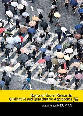 Basics of Social Research pdf epub mobi 电子书 下载