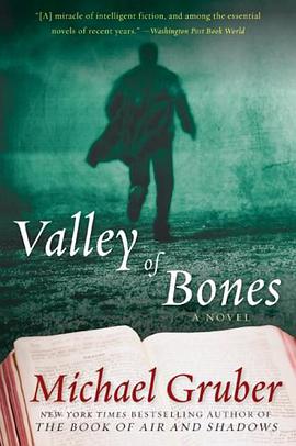 Valley of Bones pdf epub mobi 电子书 下载