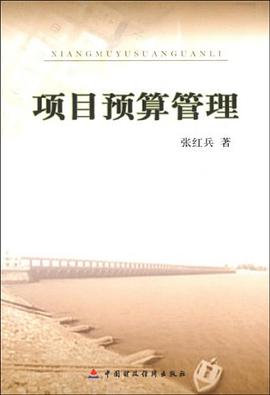 项目预算管理 pdf epub mobi 电子书 下载
