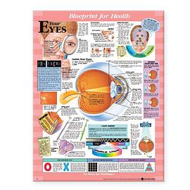 Blueprint for Health Your Eyes Chart pdf epub mobi 电子书 下载