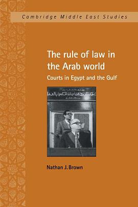 The Rule of Law in the Arab World pdf epub mobi 电子书 下载