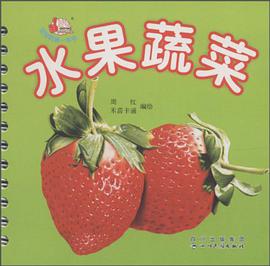 水果蔬菜/宝宝的第一本书 pdf epub mobi 电子书 下载