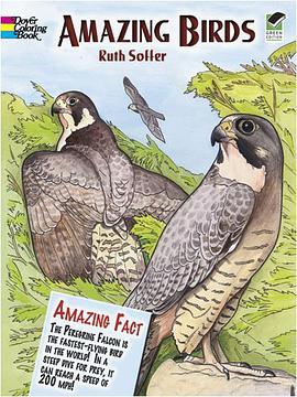 Amazing Birds pdf epub mobi 电子书 下载