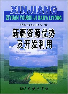 新疆资源优势及开发利用