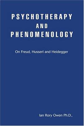 Psychotherapy and Phenomenology pdf epub mobi 电子书 下载