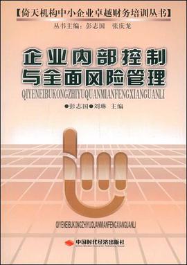 企业内部控制与全面风险管理 pdf epub mobi 电子书 下载