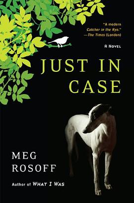 Just in Case pdf epub mobi 电子书 下载
